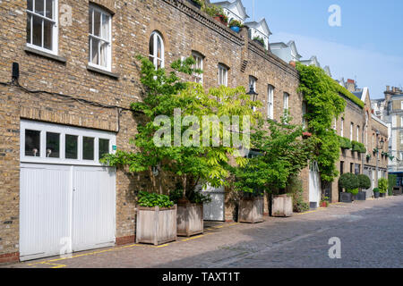 Les petits arbres dans des conteneurs à l'extérieur des maisons dans Reece Mews, South Kensington, Londres. L'Angleterre Banque D'Images