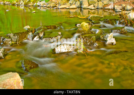 Petit ruisseau qui coule bavarois au printemps Banque D'Images