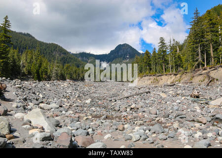 Paradise River, Mount Rainier National Park Banque D'Images