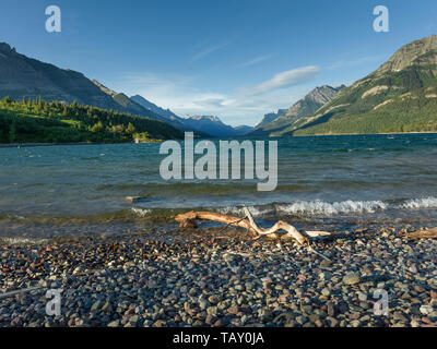 Avec le lac de montagnes en arrière-plan, lac Waterton, International de la paix Waterton-Glacier, Waterton Lakes National Park, Alberta, Canada Banque D'Images