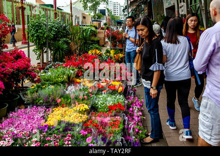 Les populations locales du shopping au marché aux fleurs, de Hong Kong, Chine Banque D'Images