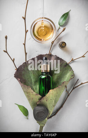 Le style minimaliste. Extrait de fines herbes, d'huile essentielle dans un flacon avec une pipette sur une feuille verte. Le concept de cosmétiques naturels. Mise à plat Banque D'Images