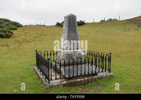 Mémorial à boxeur irlandais Dan Donnelly dans Donnelly, environs de la racecouse Curragh, Co Kildare, Irlande. Banque D'Images