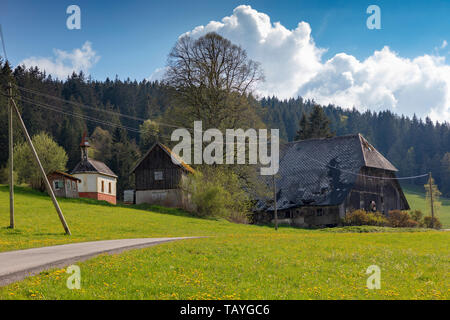 Vieille Forêt Noire ferme près de Hinterzarten, Allemagne Banque D'Images