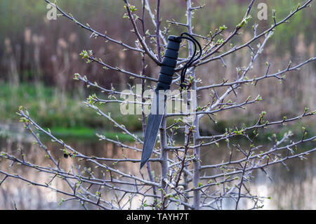 Couteau de l'armée sur les branches d'un arbre. Le couteau au coucher du soleil. Couteau militaire. Banque D'Images