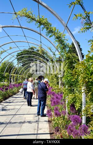 Les jardins de la Royal Horticultural Society à Wisley Surrey sur une journée d'été ensoleillée England UK Banque D'Images