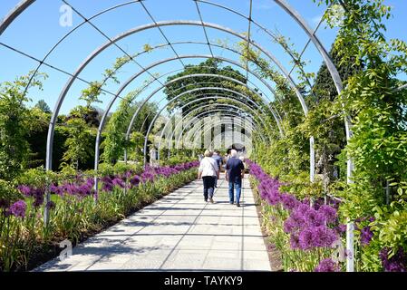 Les jardins de la Royal Horticultural Society à Wisley Surrey sur une journée d'été ensoleillée England UK Banque D'Images