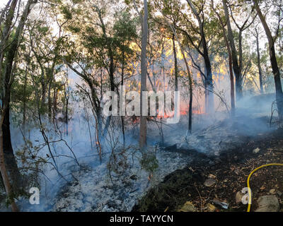 Service d'incendie feu arrière pour éviter les feux de brousse dans les montagnes. Banque D'Images