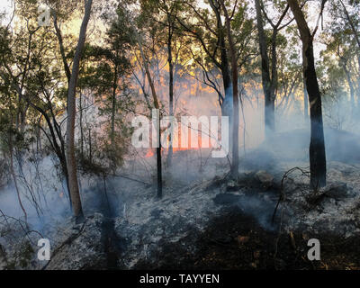 Service d'incendie feu arrière pour éviter les feux de brousse dans les montagnes. Banque D'Images