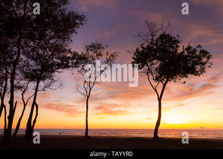 Magnifique coucher de soleil sur la plage avec des arbres d'ossature. Banque D'Images