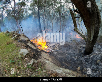 Service d'incendie feu arrière pour éviter les feux de brousse dans les montagnes. Banque D'Images