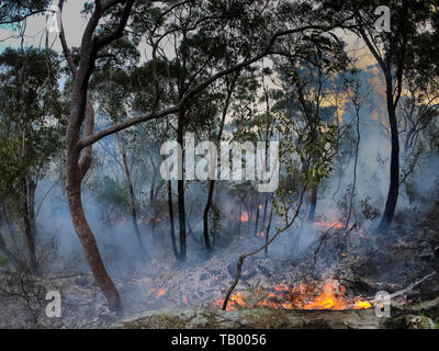 Service d'incendie feu arrière pour éviter les feux de brousse dans les montagnes. Banque D'Images