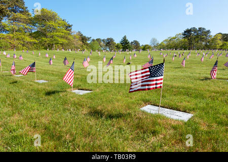 Drapeaux américains placés pour Memorial Day au cimetière Nationale des Anciens Combattants en Bourne, Cape Cod, Massachusetts USA Banque D'Images