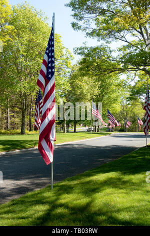 Route bordée d'un drapeau à l'échelle nationale dans le cimetière d'anciens combattants pour le Massachusetts Bourne Memorial Day Banque D'Images