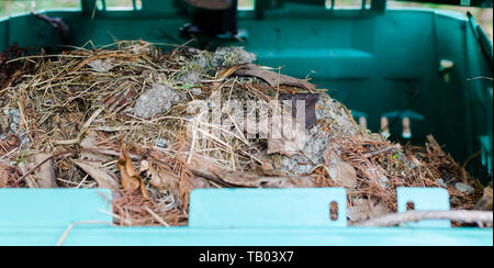 Compost dans un réservoir en plastique dans le jardin botanique en Pologne, l'Europe. Close up Banque D'Images