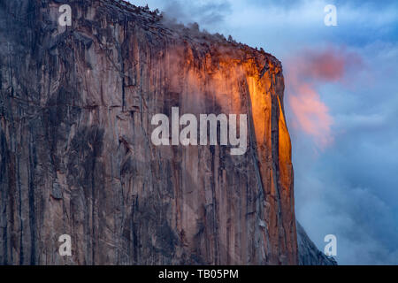 El Capitan ; soirée ; coucher du soleil ; Yosemite National Park, Californie, USA ; par Bill Lea/Dembinsky Assoc Photo Banque D'Images