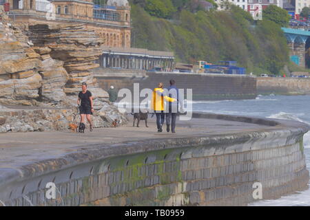 Un couple marche main dans la main ,comme ils marchent à leurs chiens le long d'un sentier près de la mer à Scarborough, Yorkshire du Nord. Banque D'Images