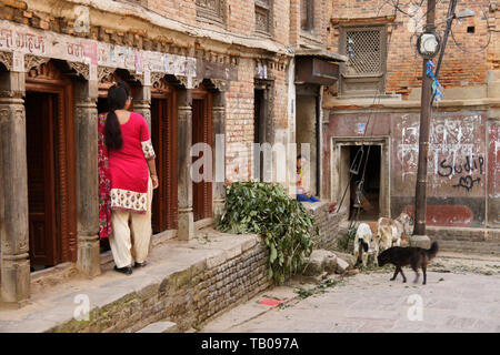 Les bâtiments de brique en vieille ville de Dhulikhel, Népal, avec des femmes, des chèvres, et un chien Banque D'Images