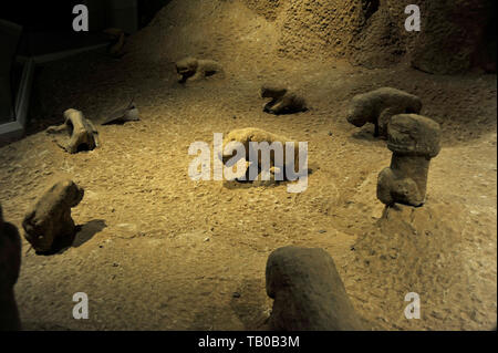 Des artefacts de Gobekli Tepe sur l'affichage dans le musée à Sanliurfa, en Turquie Banque D'Images