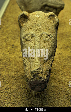 Des artefacts de Gobekli Tepe sur l'affichage dans le musée à Sanliurfa, en Turquie Banque D'Images