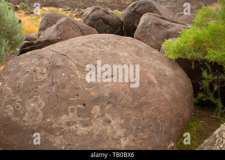 Des pétroglyphes, Celebration Park, Snake River Birds of Prey National Conservation Area, Idaho Banque D'Images