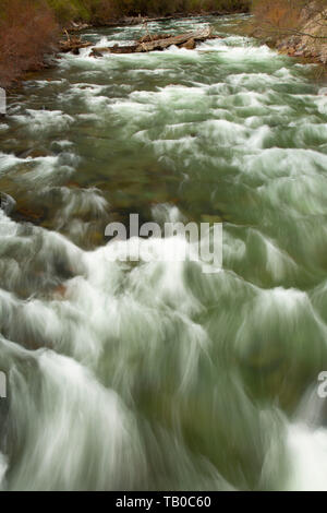 Le ruisseau Fish, Fish Creek State Park, Montana Banque D'Images