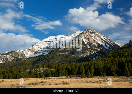 Montagnes du centenaire, Red Rock Lakes National Wildlife Refuge, Montana Banque D'Images