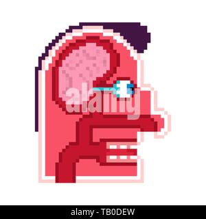 Pixel art. cartoon tête anatomie schéma interne 8 bits. Du cerveau et des yeux. Papilles. Coupe du crâne Illustration de Vecteur