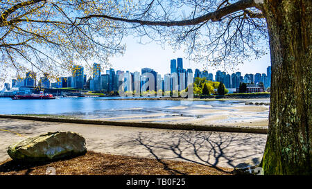 Vue de la ville de Vancouver et le port. Vue de la Stanley Park Seawall pathway in British Columbia, Canada Banque D'Images