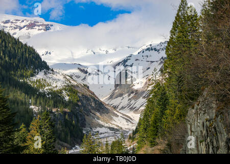 Rivière Nisqually, Mount Rainier National Park Banque D'Images