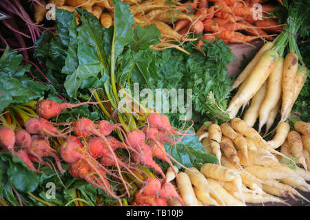 Variété de légumes sur une échoppe de marché, Friarsgate, Winchester Banque D'Images