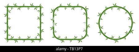 Ensemble de bambou vert des cadres avec des feuilles. Vector illustration. Les tiges de bambou. Cadres en bambou. Illustration de Vecteur