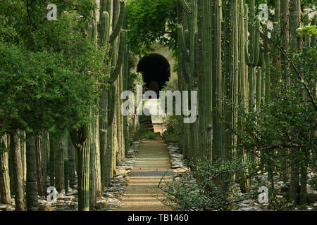 Un chemin à l'intérieur de l'hôtel Jardín Etnobotánico de Oaxaca, Mexique (Jardin botanique de Oaxaca, Mexique, Amérique du Nord) Banque D'Images