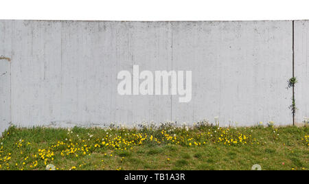 Mur de béton gris sur une colline avec la floraison des pissenlits. Vue panoramique collage à partir de plusieurs photos de printemps en plein air Banque D'Images