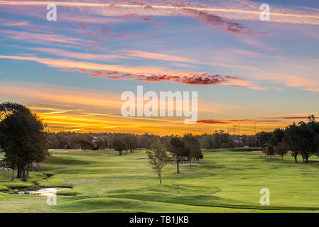 Tôt le matin au terrain de golf. Matin légèrement brumeux au-dessus des arbres verts. Banque D'Images