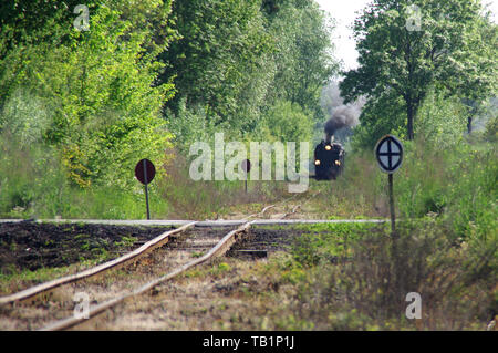 Vieux train de passagers s'exécutant sur des sentiers à travers la forêt. Une locomotive rétro avec un moteur à vapeur le long des pistes - disques durs. Banque D'Images