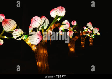 L'installation de fleurs d'orchidée à Zagreb, Festival des lumières Banque D'Images