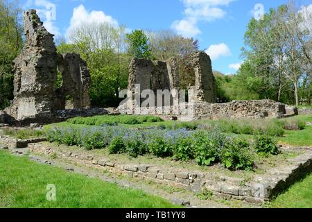 Haverfordwest Prieuré prieuré Augustin au début du xiiie siècle avec le seul jardin médiéval ecclésiastique Pembrokeshire Wales UK en Grande-Bretagne Banque D'Images