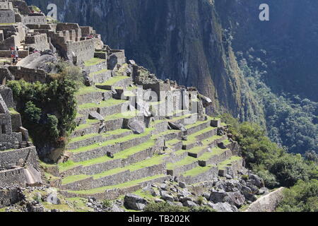 Machu Picchu, Pérou Banque D'Images