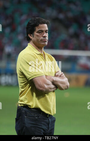 Salvador, Brésil. 29 mai, 2019. Raí, directeur exécutif de São Paulo, pendant un match entre Bahia et de São Paulo, un jeu valable pour le match de Coupe du Brésil 2019 Le mercredi (29ème) à l'Arena Fonte Nova à Salvador, Bahia, Brésil. Credit : Tiago Caldas/FotoArena/Alamy Live News Banque D'Images