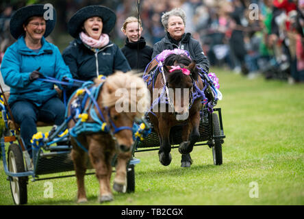 Münster, Allemagne. 30 mai, 2019. Transport équipes participent à un aller-retour dans le cadre de la 32e pèlerinage du chariot de Telgte. Autour de 80 équipes de pays, de l'Ems et Sauerland ont pris part à l'événement annuel de l'Ascension. Crédit : Bernd Thissen/dpa/Alamy Live News Banque D'Images