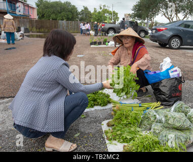 La Nouvelle-Orléans, Louisiane - un marché d'agriculteurs vietnamiens, maintenue pendant quelques heures plus tôt samedi matin dans un parking de la ville, la communauté vietnamienne Banque D'Images