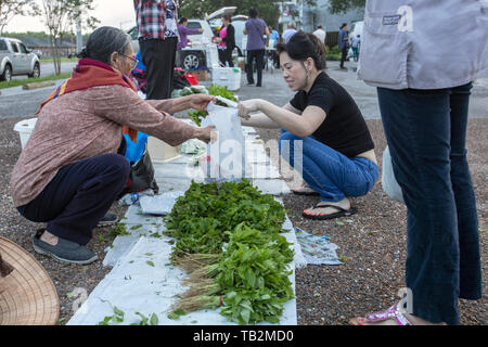 La Nouvelle-Orléans, Louisiane - un marché d'agriculteurs vietnamiens, maintenue pendant quelques heures plus tôt samedi matin dans un parking de la ville, la communauté vietnamienne Banque D'Images