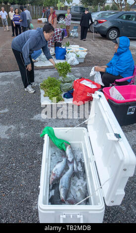 La Nouvelle-Orléans, Louisiane - un marché d'agriculteurs vietnamiens, maintenue pendant quelques heures plus tôt samedi matin dans un parking de la ville, la communauté vietnamienne Banque D'Images