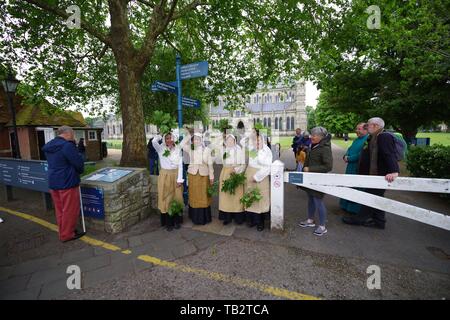 Le jour de la pomme de chêne en vaux 29 mai 2019 où les villageois y réaffirmer anciens droits pour ramasser le bois à partir de bois Calvados. Ces droits remontent au Moyen-âge et ont été confirmés par une forêt charte de la cour en 1603. Les villageois prennent également part à une cérémonie en la cathédrale de Salisbury, où cette année Gaia, une 120 dpi l'imagerie de la NASA détaillées de la surface de la terre. Un instilation par art par Luke Jerram. Banque D'Images