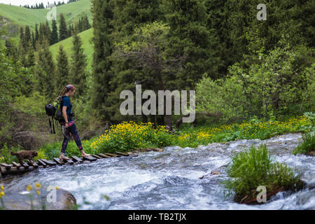 Une fille avec un chien marche le long d'un pont en bois sur la rivière. Trekking dans la forêt. Banque D'Images