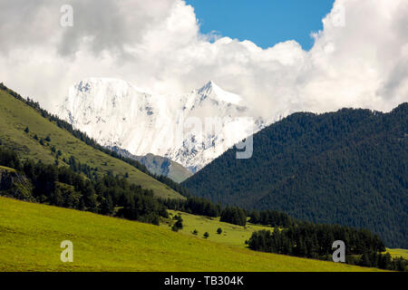 Green Valley de montagnes du Caucase dans la matinée. La Géorgie, Tusheti Banque D'Images