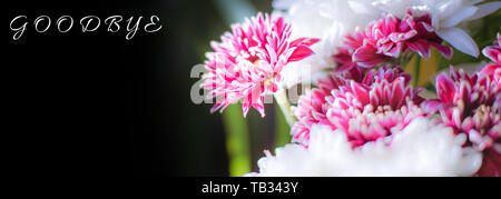 Bouquet de fleurs bourgogne isolé sur fond flou, flou Banque D'Images