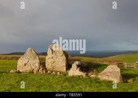 La jument grise et son poulain est une chambre de culture néolithique long barrow qui se trouve à environ 3 kilomètres au nord de la plage de Chesil. OS SY584871) Banque D'Images