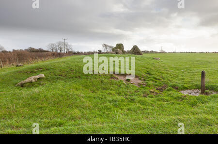 La jument grise et son poulain est une chambre de culture néolithique long barrow qui se trouve à environ 3 kilomètres au nord de la plage de Chesil. OS SY584871) Banque D'Images